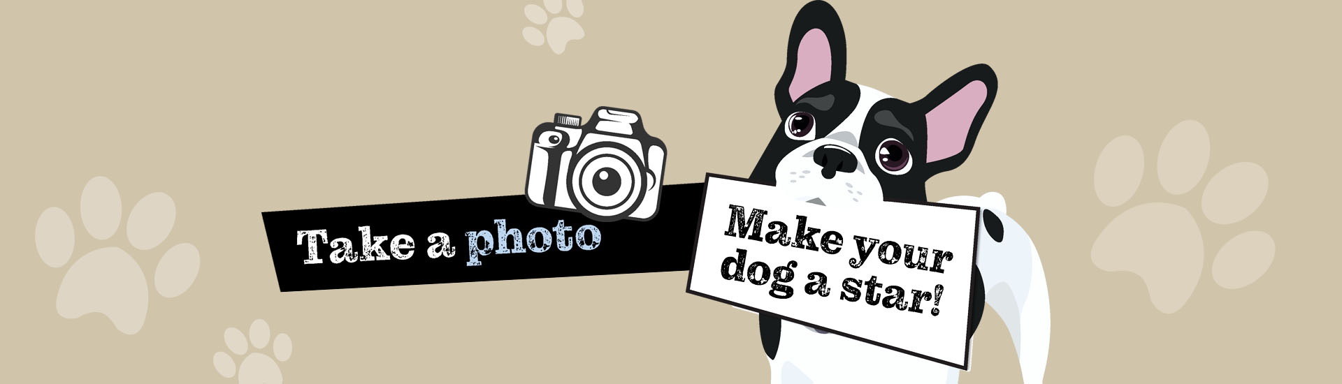 take a photo, make your dog a star